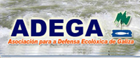 Adega